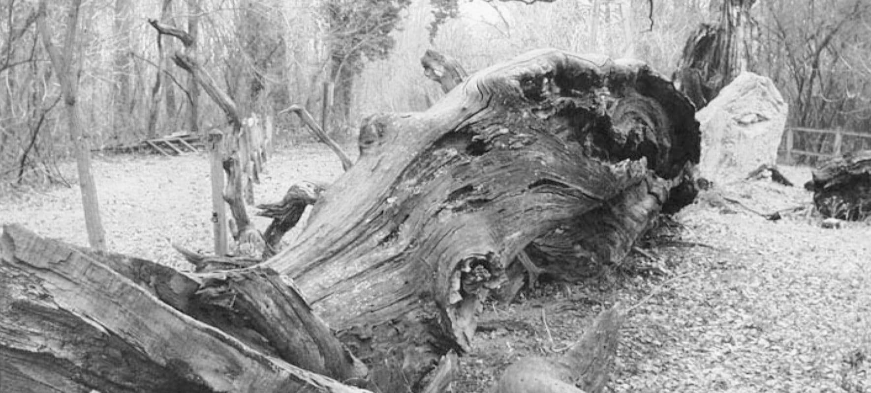 Event cover image