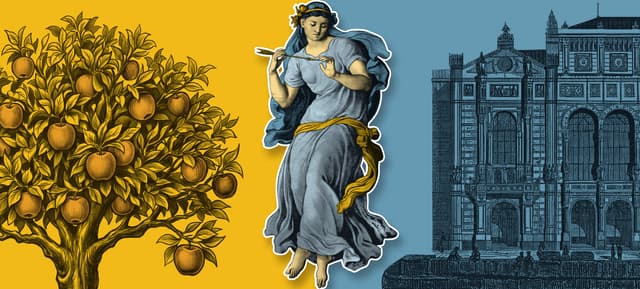 TITOK·TÖRTÉNET·MESE