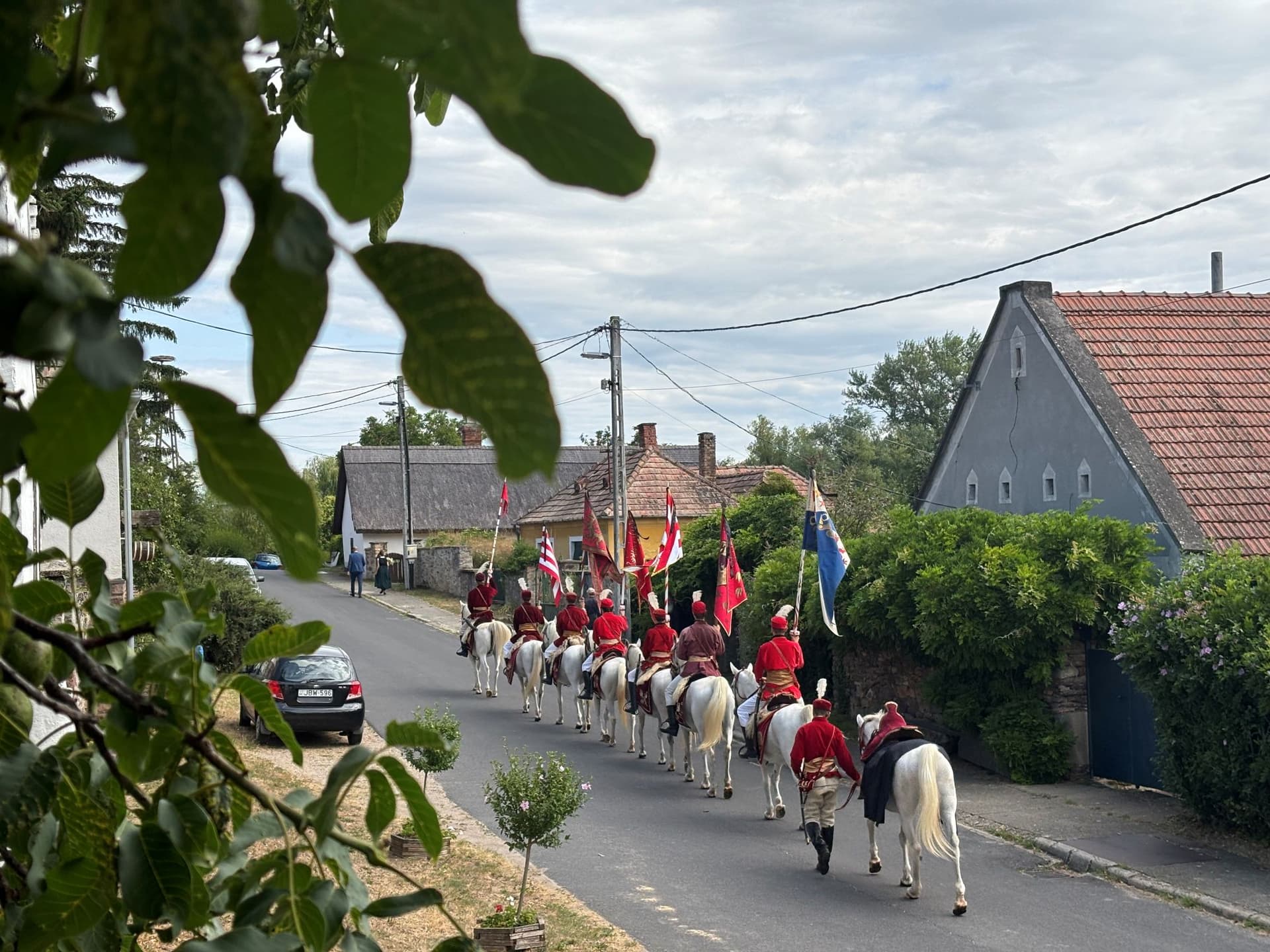 kredit: Nagy Zsombor