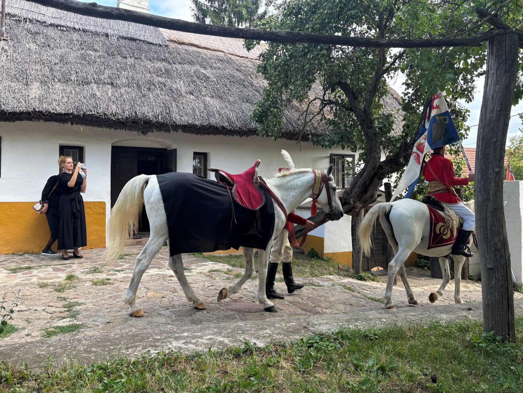 kredit: Nagy Zsombor